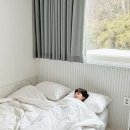 쉬오트애견풀빌라 네이버블로그