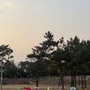 희망의 손 | 포항 호미곶 일출, 상생의 손 위로 떠오르는 희망의 태양 (일출 시간 &amp; 주차 꿀팁)