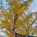 홍원1리마을회관 이미지