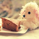 브레드하루 이미지