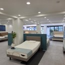 (주)윈로드소프트 | TEMPUR 매트리스 쇼룸 방문 직접 백화점 vs 로드숍 비교해본 후기 공유!