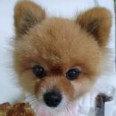 견생제과점 이미지