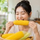 옥수수는 '이것'만 넣고 삶아보세요…사 먹는 것보다 2배 더 맛있게 먹어요 이미지