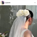 플랜트서브 이미지