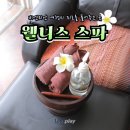 비엔티안 여행 웰니스 스파 마사지 라오스플레이 할인쿠폰 정보 꿀팁