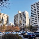 분당-267 이미지