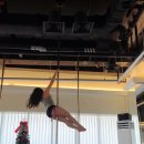 야간)라인댄스[초.중급] | 일산 폴댄스 폴린이 국화의 587회차 수업 후기 입문 P포즈