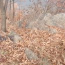 서천 건지산성 이미지