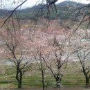 개화펜션 이미지