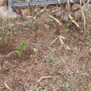 봄이엣지하우스 이미지