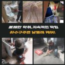 울산한약품 이미지