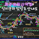 [7월 13일] 정자문화1번지 화림동계곡 야유회 이미지