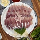 백록담한의원 | [1월의 제주] 생애 첫 혼자 여행/ 요가 도장깨기