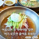 삼삼슈퍼 | 김해장유맛집 월산면옥 여름메뉴 김해밀면맛집 솔직후기
