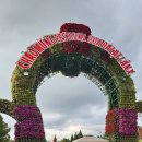 (1월 8일) 달랏 플라워 가든(베트남 달랏 2025년1월 8일) 이미지