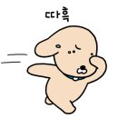 장은진산부인과의원 네이버블로그