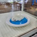 더벤티순천아랫장점