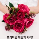 루아스튜디오 이미지