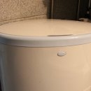 미자애견 이미지