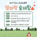 솔터힐링 숲체험원 이미지