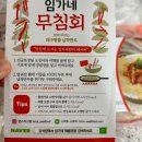 임가네해물촌 | 임가네 해물촌 오징어무침 택배 후기 내 돈 내 산🫧