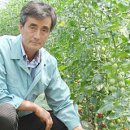 가락2리 이미지