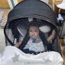 (주)다나온 이미지