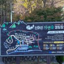 경남 김해 산속 힐링 신어산 자연숲캠핑장 후기