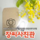 명지자연유치원 | 부산 명지오션시티 사진관, 장씨사진관에서 증명사진 찍은 후기📸
