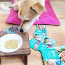 다온펫푸드 이미지