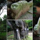 전등사로 초지로 이미지