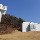 개나리교 부근 이미지