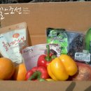 광산구-042 헬스조선