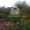 일층부동산공인중개사사무소 이미지