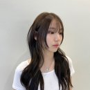 티엔피 이미지