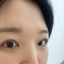 일레르 뷰티