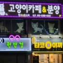 캣츠앤몬스터 이미지