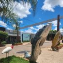 보니또민박 이미지