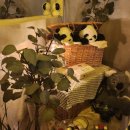 냥냥타코 이미지