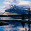 소중하개 이미지