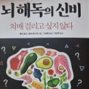 뇌 해독의 신비 - 혼마 료코•혼마 류스케 지음 *** 이미지