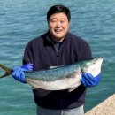 용인대 팀레전드 경북도민일보
