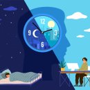 인체 - 리듬 이미지