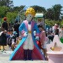 솔숲공원 화장실 이미지