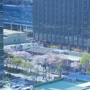 항동푸른약국 | [0408-0414] 행복은 가까이에