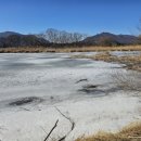 운심농장 이미지