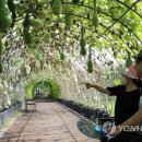 결성면 원천마을회관 이미지