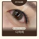 포항 초곡 속눈썹 디하릐 블랙틴팅펌 후기