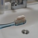 레몽하우스 이미지