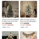 베베데이즈